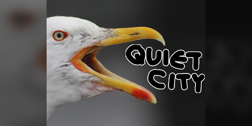 Cover image for Quiet City