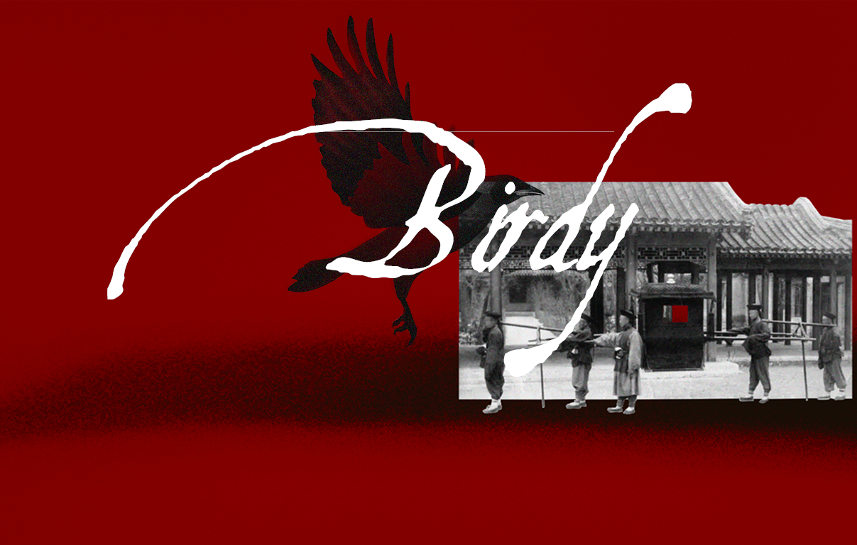 Cover image for Birdy