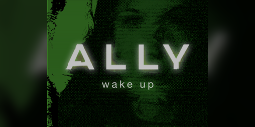 Cover image for Ally