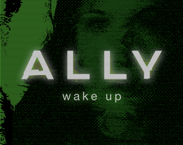 Cover image for Ally