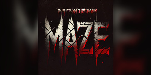 Cover image for MAZE: Run From the Dark