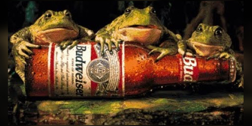 Cover image for lynching a bunch of frogs