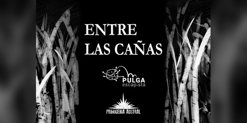 Cover image for Entre las cañas