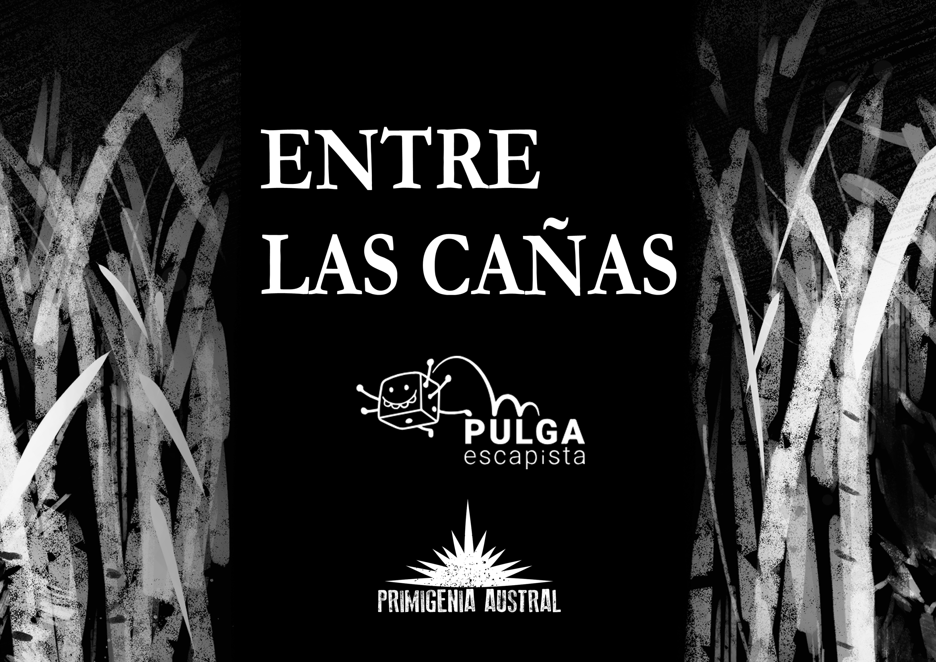 Cover image for Entre las cañas
