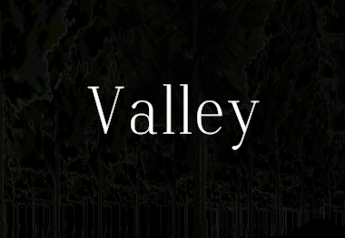 Cover image for Valley