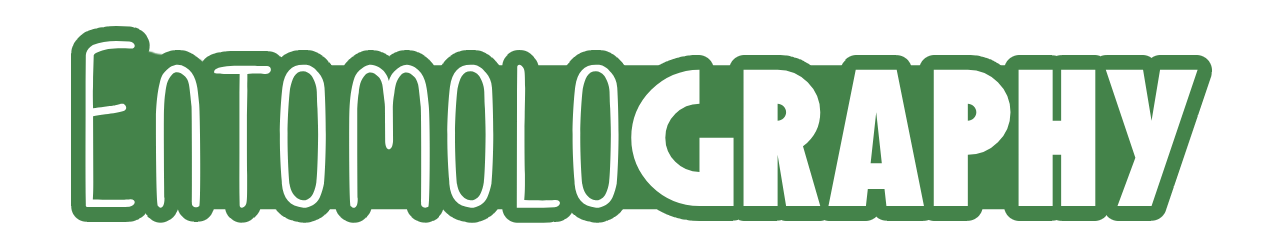 Entomolography