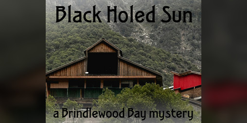 Cover image for Black Holed Sun