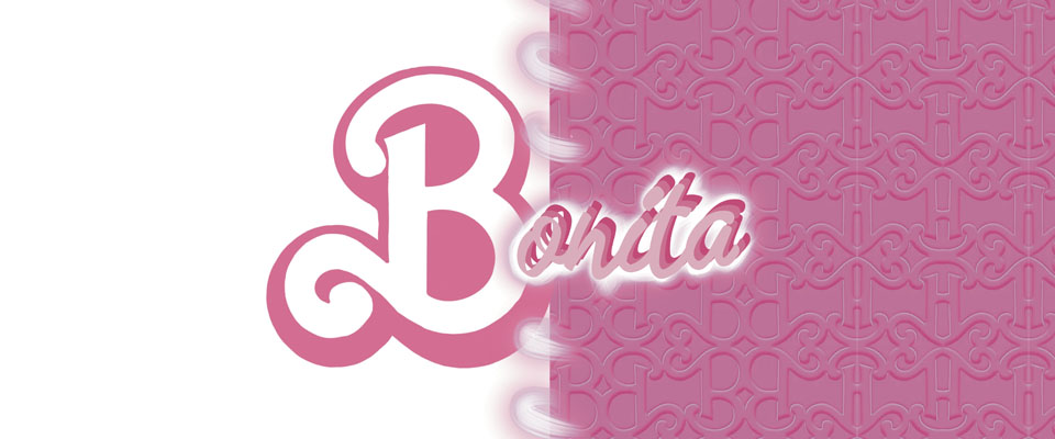 Bonita (alternative controller game)