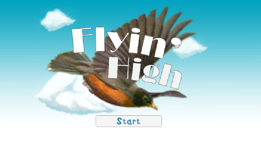 Flyin' High