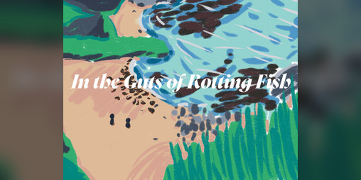 Cover image for In the Guts of Rotting Fish