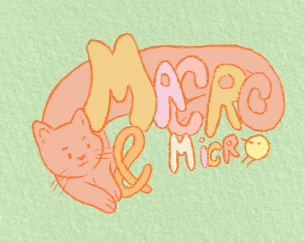 Macro Micro