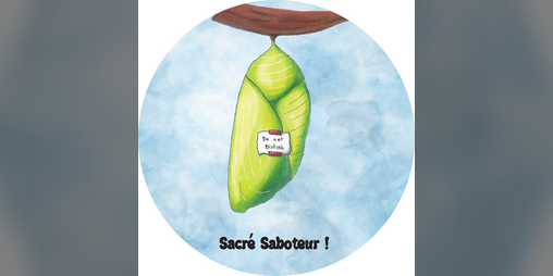 Cover image for Sacré Saboteur !