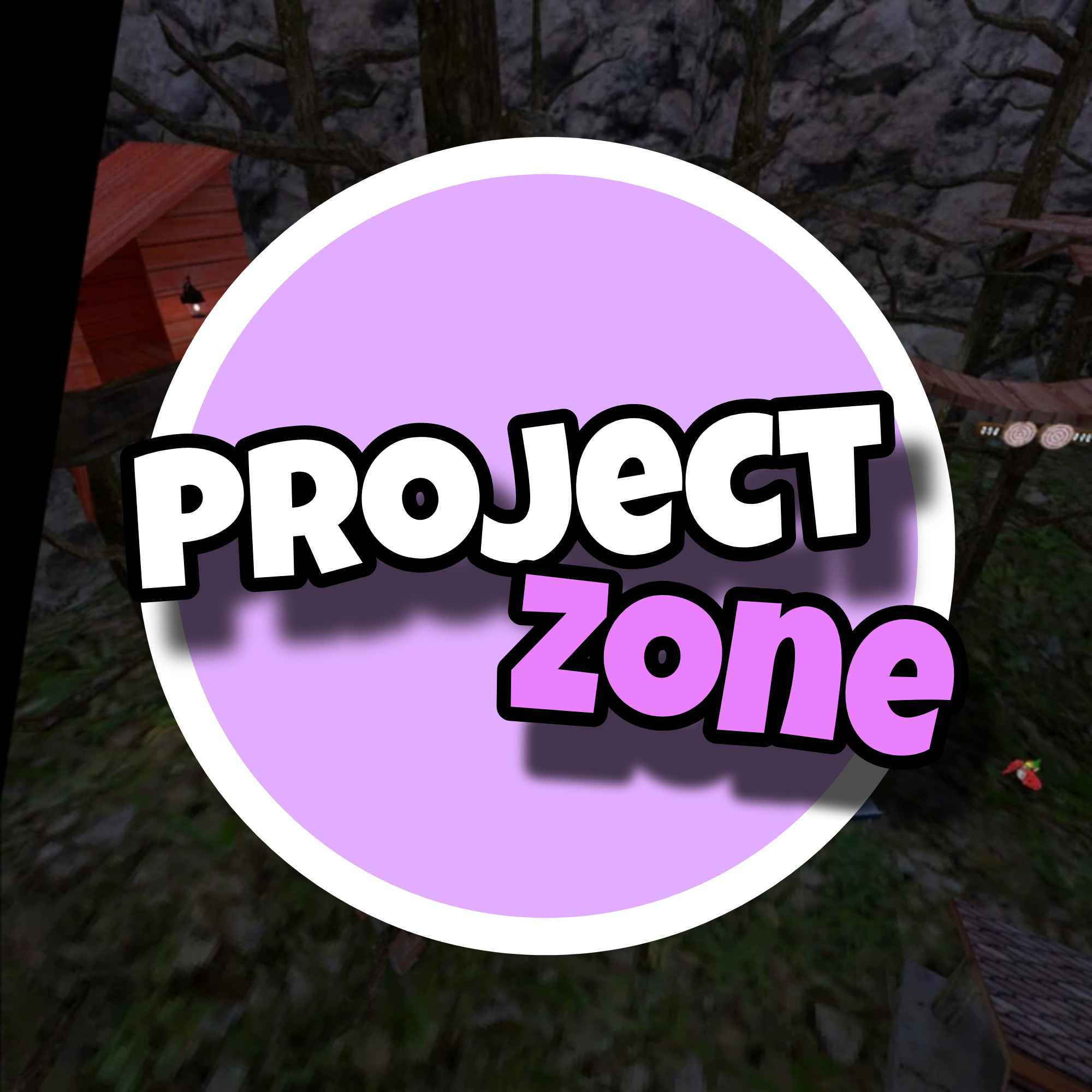 Project Zone