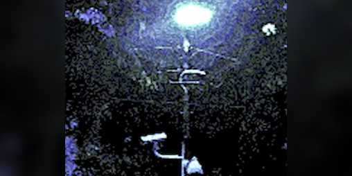 Cover image for Street Lamp Lover