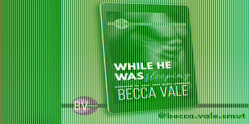 Cover image for While He Was Sleeping