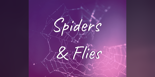 Cover image for Spiders & Flies