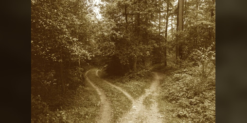 Cover image for The Road Not Taken