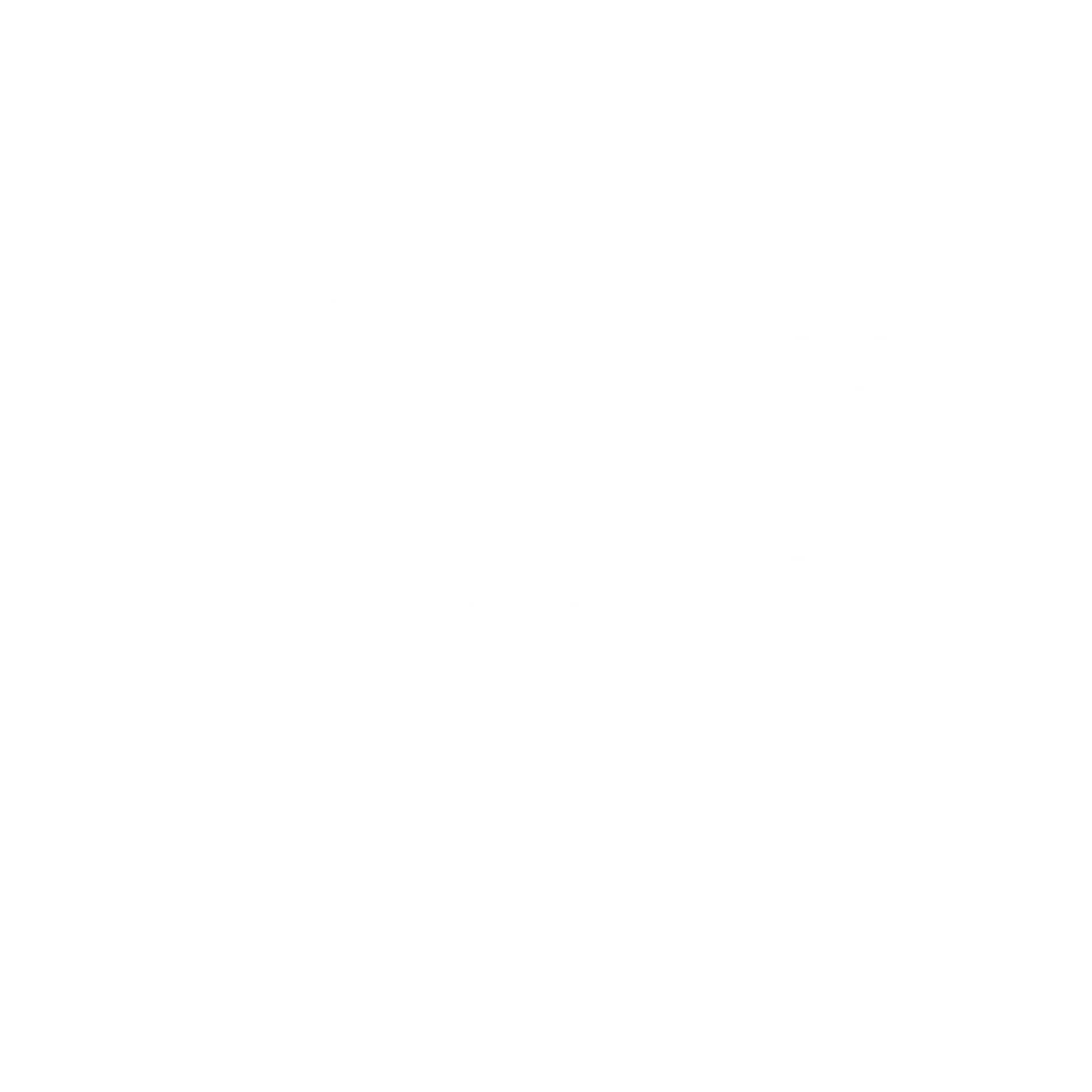 Willow Woods cover