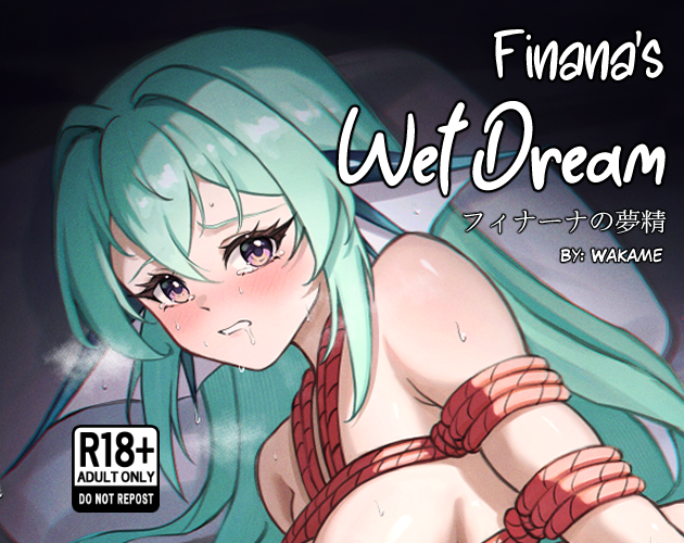 Cover image for Finana's Wet Dream