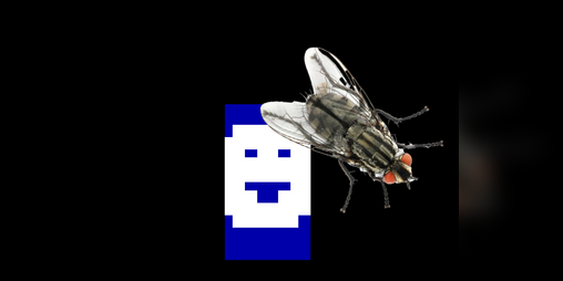 Cover image for Flypaper