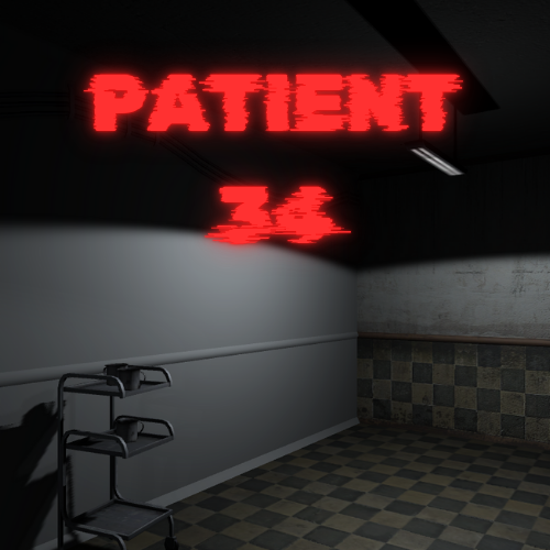 Cover image for Patient 34