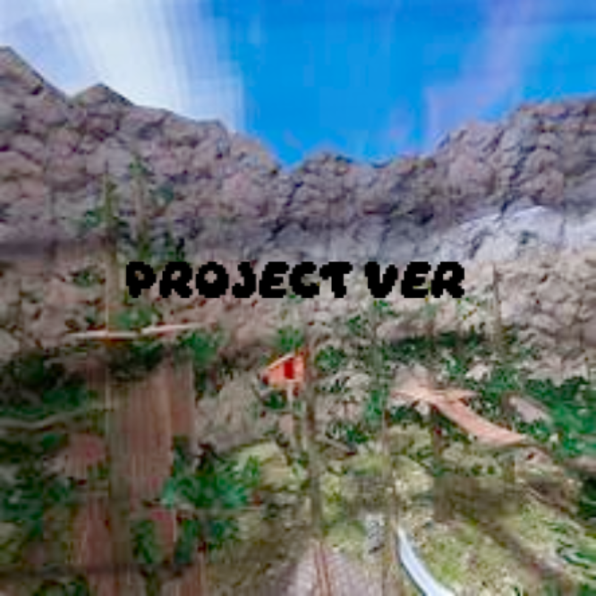 Project Ver