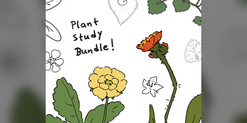 Cover image for Plant Study Bundle (2023 + 2024)