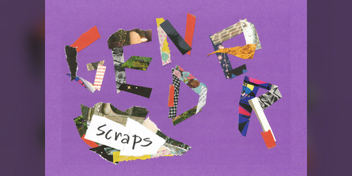 Cover image for Gender Scraps