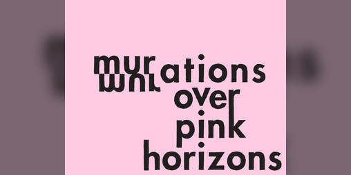 Cover image for murmurations over pink horizons