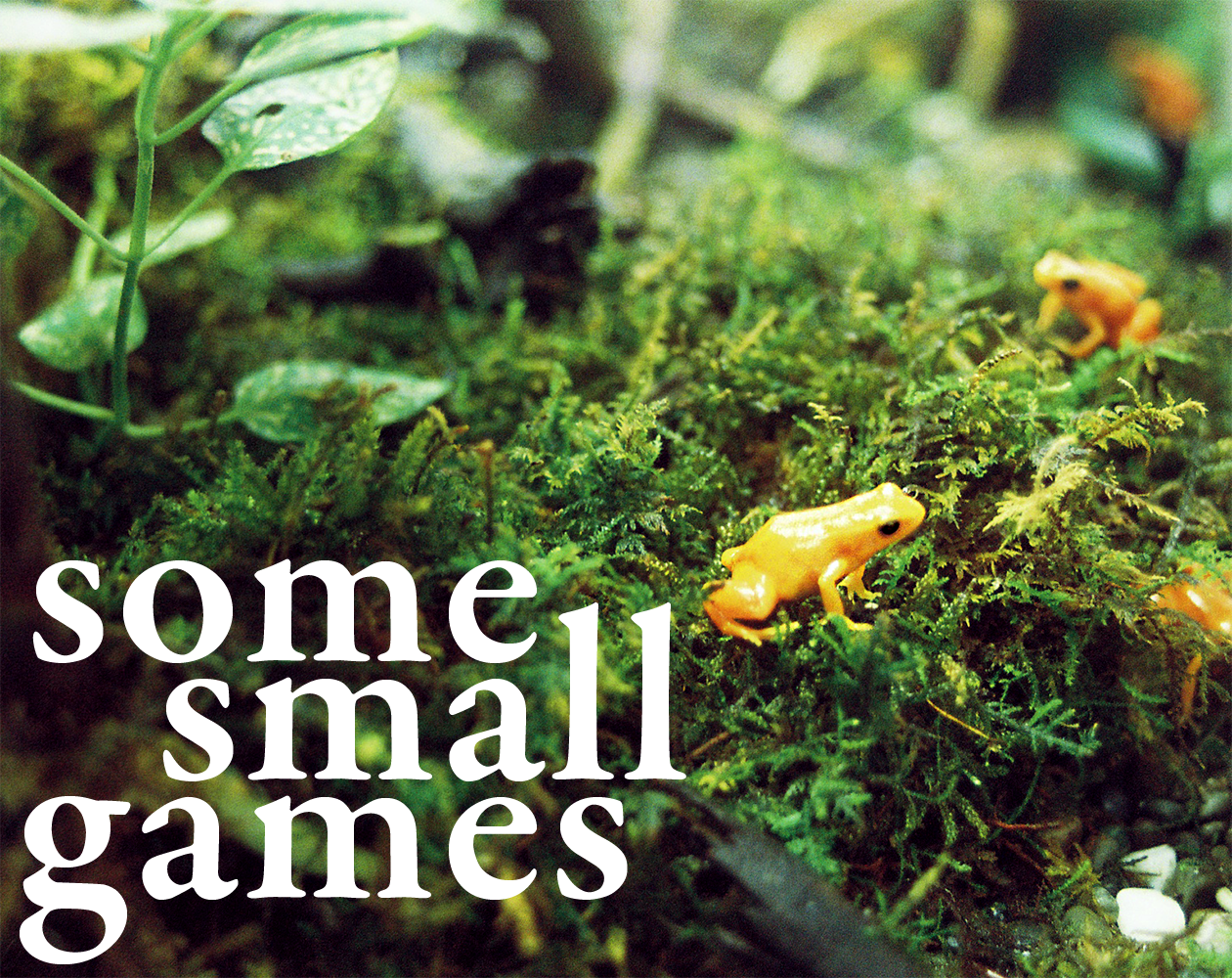Cover image for Some Small Games