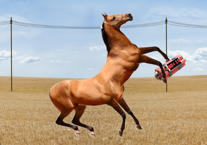 Horse