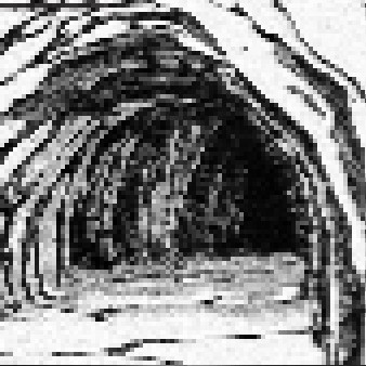 Cover image for A trip to the dock.