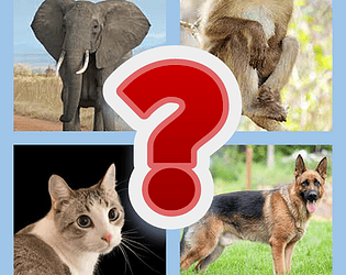 Picture Quiz
