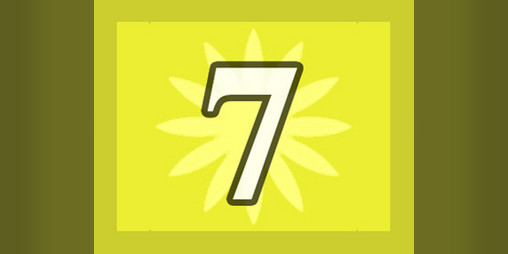 Cover image for Number 7
