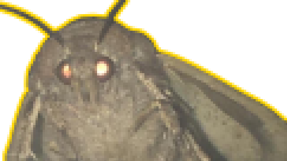 LÄMP