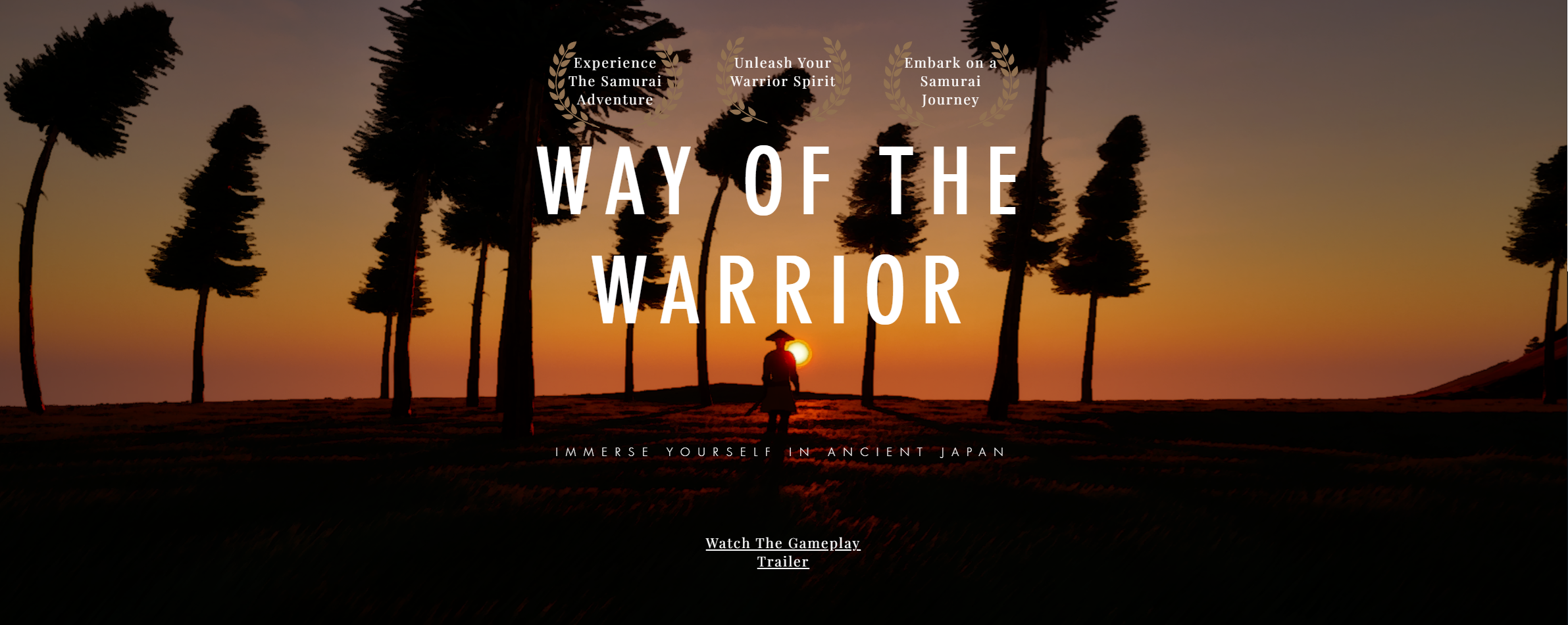 Way of the Warrior