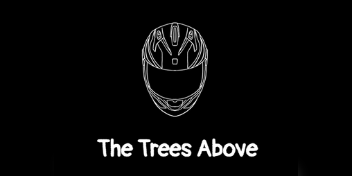 Cover image for The Trees Above