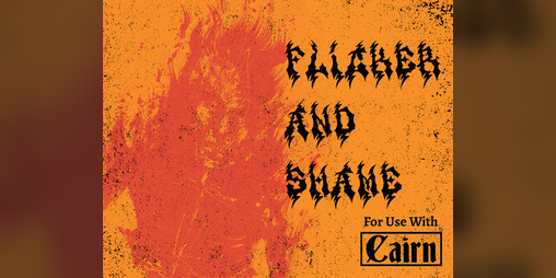 Cover image for FLICKER AND SHAME