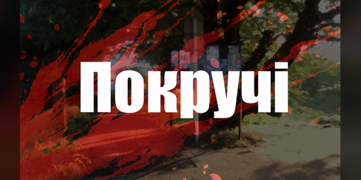 Cover image for Pokruchi