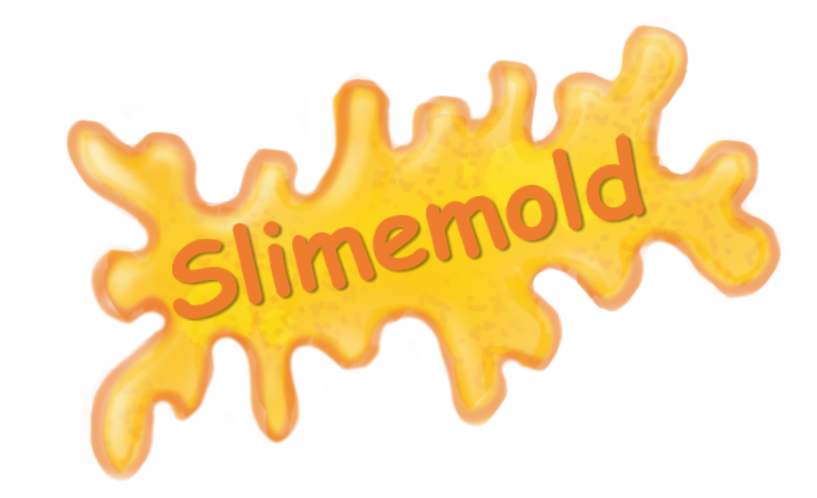 Slimemold