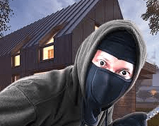 Thief Simulator