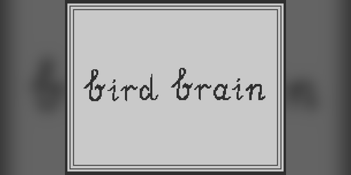 Cover image for bird brain