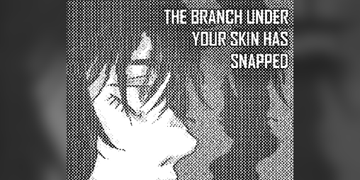 Cover image for THE BRANCH UNDER YOUR SKIN HAS SNAPPED