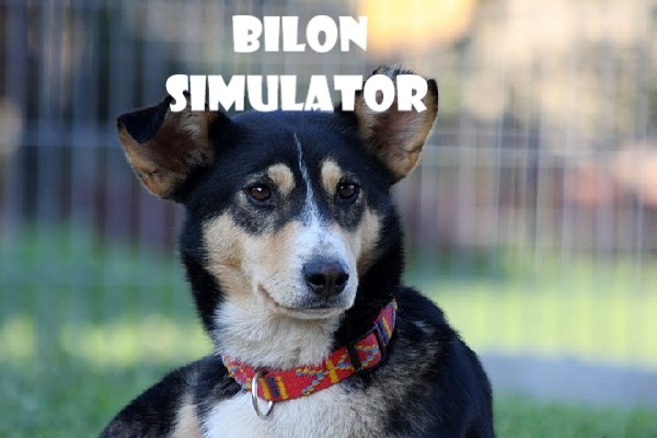 Bilon Simulator