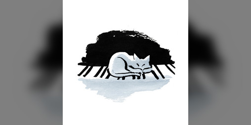Cover image for The Pianist