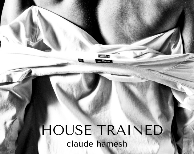 Cover image for House Trained