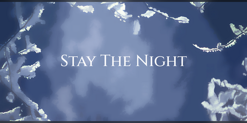 Cover image for Stay The Night