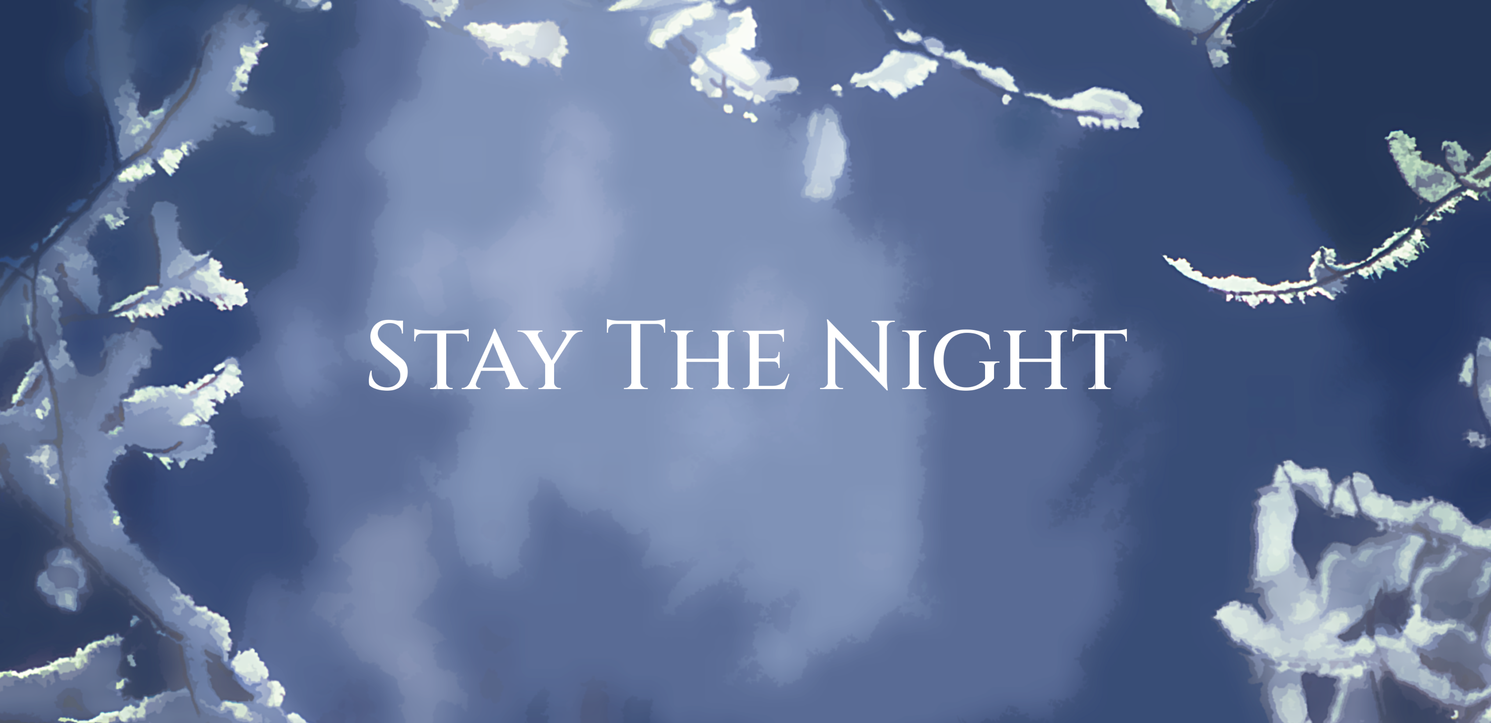 Cover image for Stay The Night