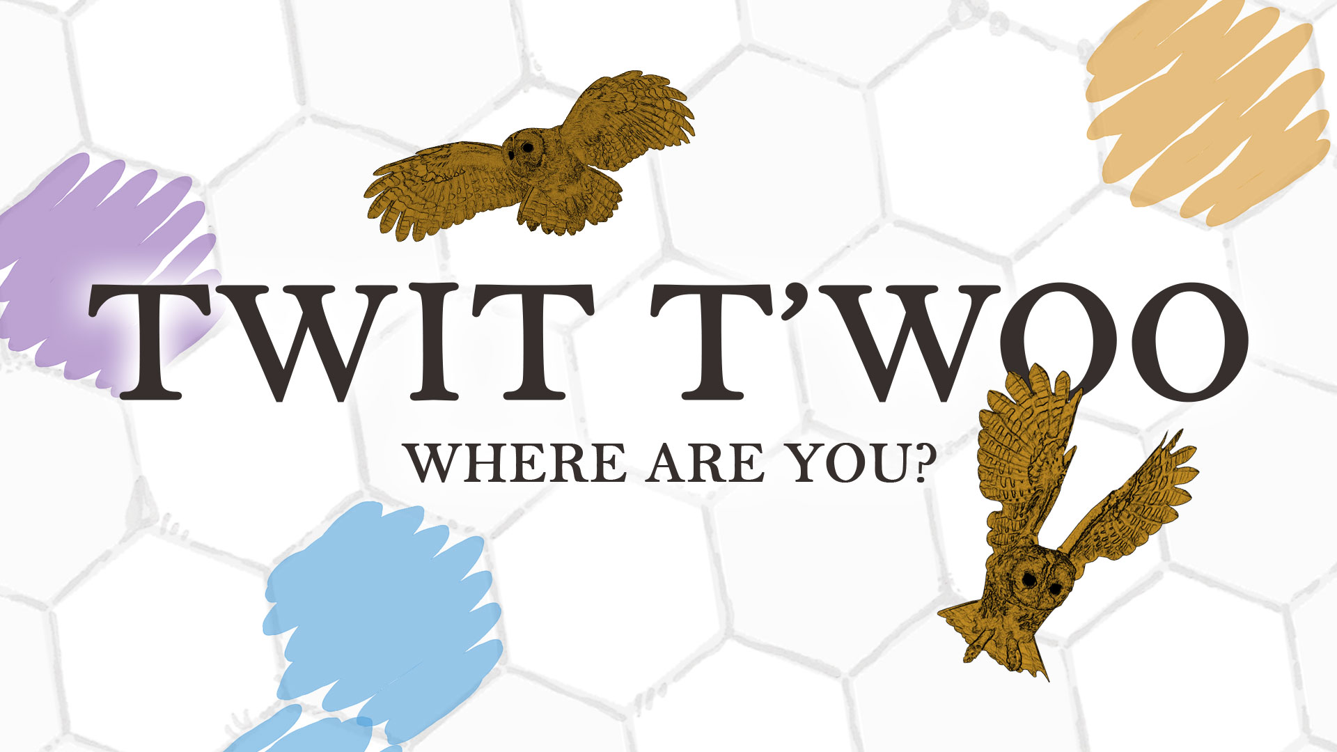 Twit T'woo Where Are You?