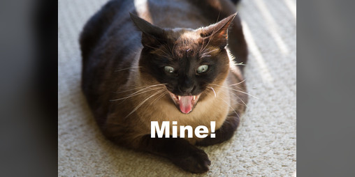 Cover image for Mine!